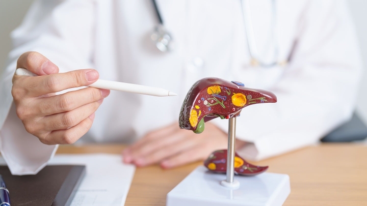 Tangram Therapeutics готовит клинические испытания препарата TGM-312 против MASH