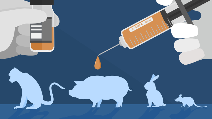 Великобритания инвестирует £60 млн в ускоренный переход от тестирования на животных